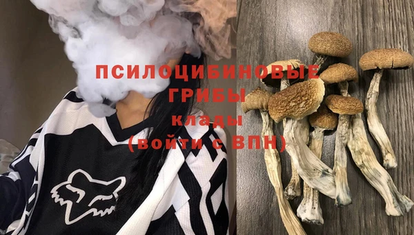 синтетический гашиш Алексин