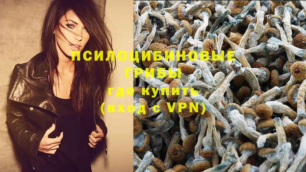 сатива Алексеевка