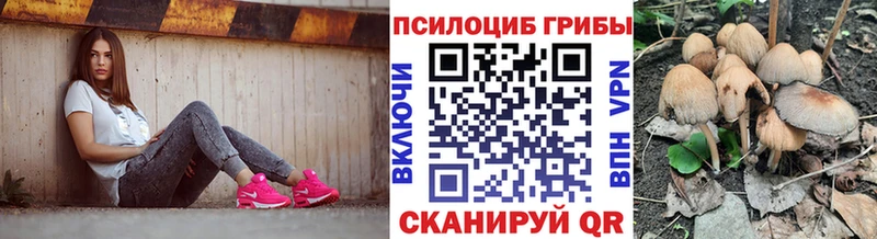 наркота  Кемь  Псилоцибиновые грибы Cubensis 